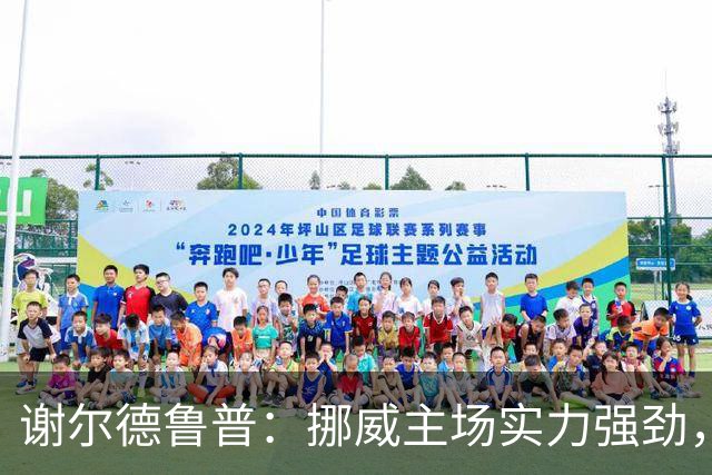 谢尔德鲁普：挪威主场实力强劲，能够挑战任何劲敌